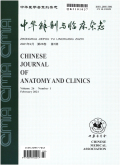 中华解剖与临床杂志