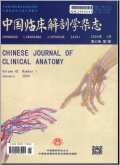 中国临床解剖学杂志