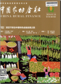 中国农村金融