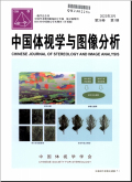 中国体视学与图像分析