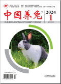 中国养兔